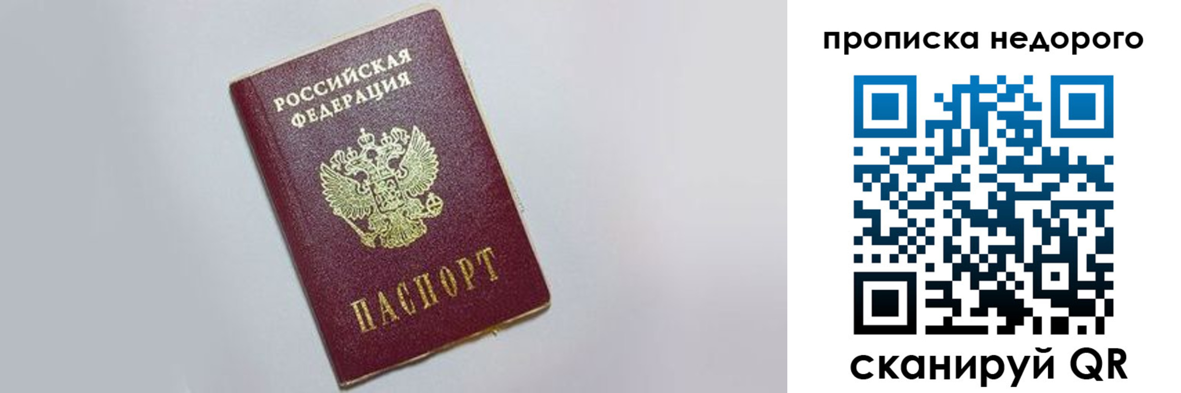 прописка законно в Мытищах